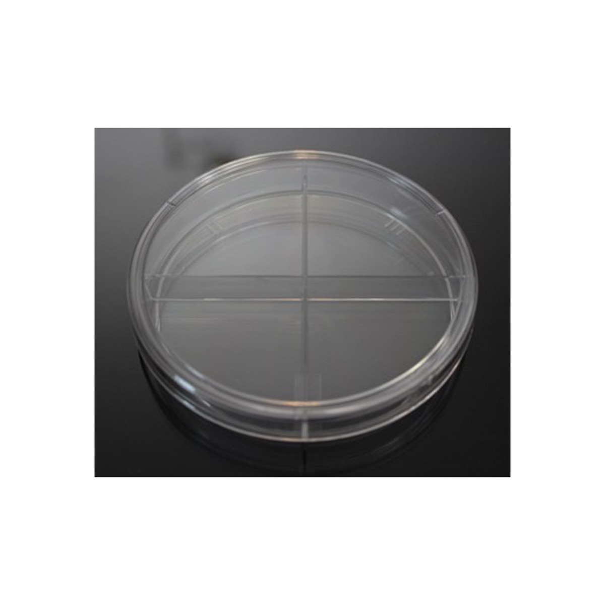 Petri Dish, 100 x 15 mm (X-Plate)